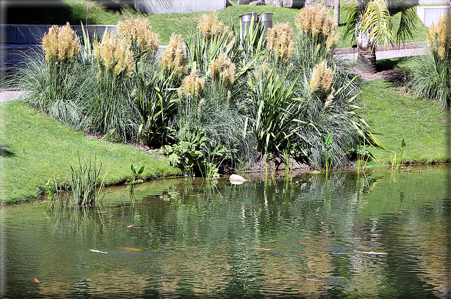 foto Giardini Trauttmansdorff - Giardini acquatici